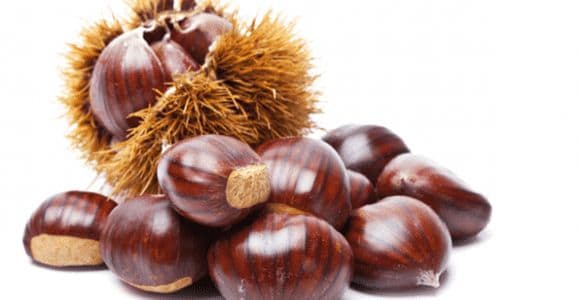 can dogs eat chestnuts?