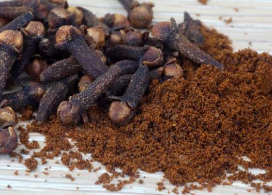 can dogs eat ground cloves?