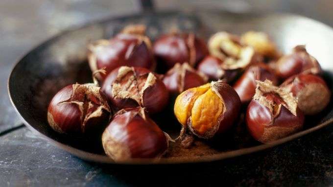 can dogs eat roasted chestnuts?