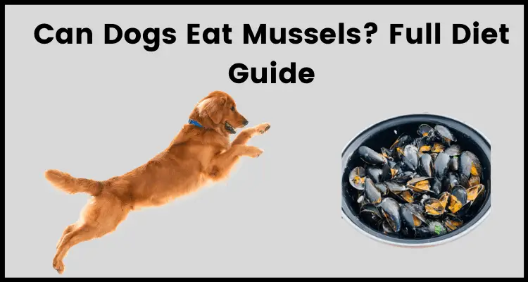 Can Dogs Eat Mussels_ Full Diet Guide (1)