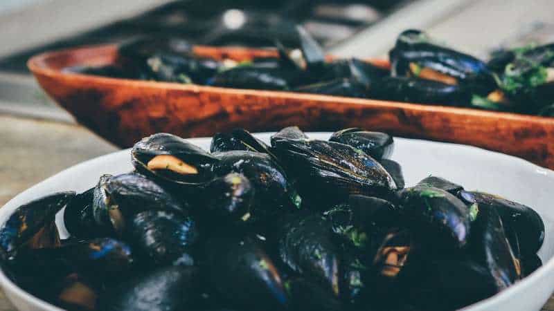  Can dogs eat mussels?