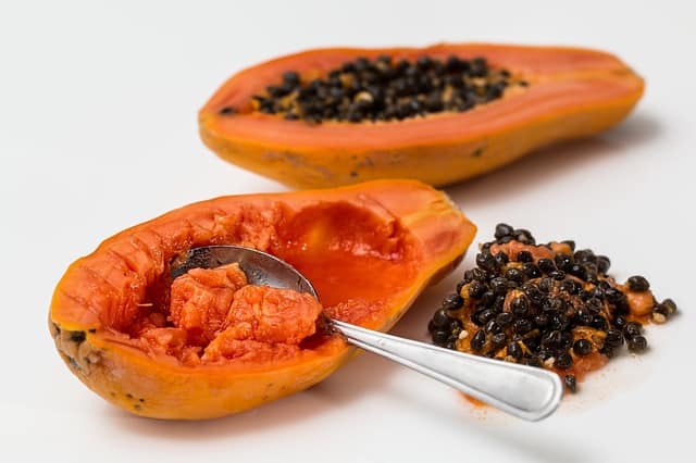 can dogs have papaya?