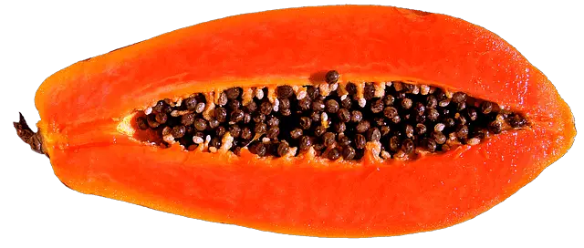 is papaya safe for dogs?