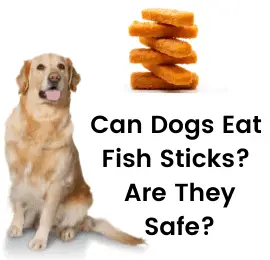 Can Dogs Eat Fish Sticks Are They Safe