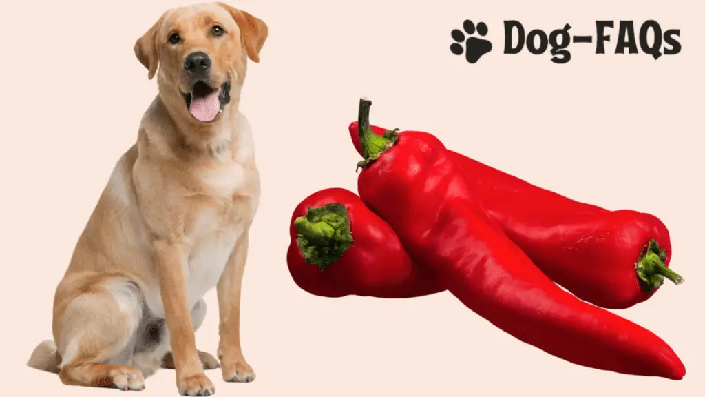 Can Dogs Eat Banana Peppers 