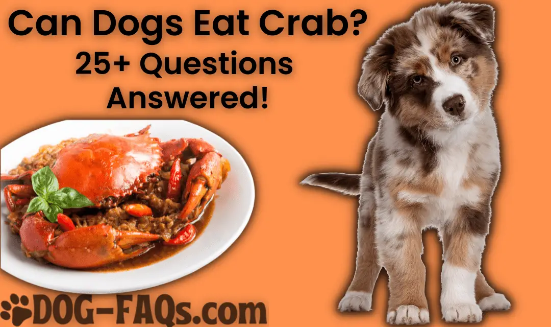 Can Dogs Eat Crab