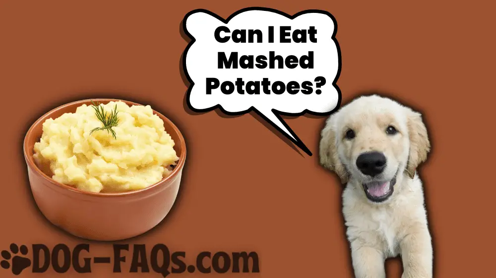 Can puppies eat Mashed Potatoes