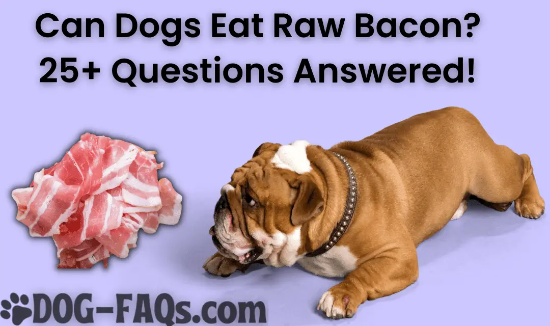 Can Dogs Eat Raw Bacon