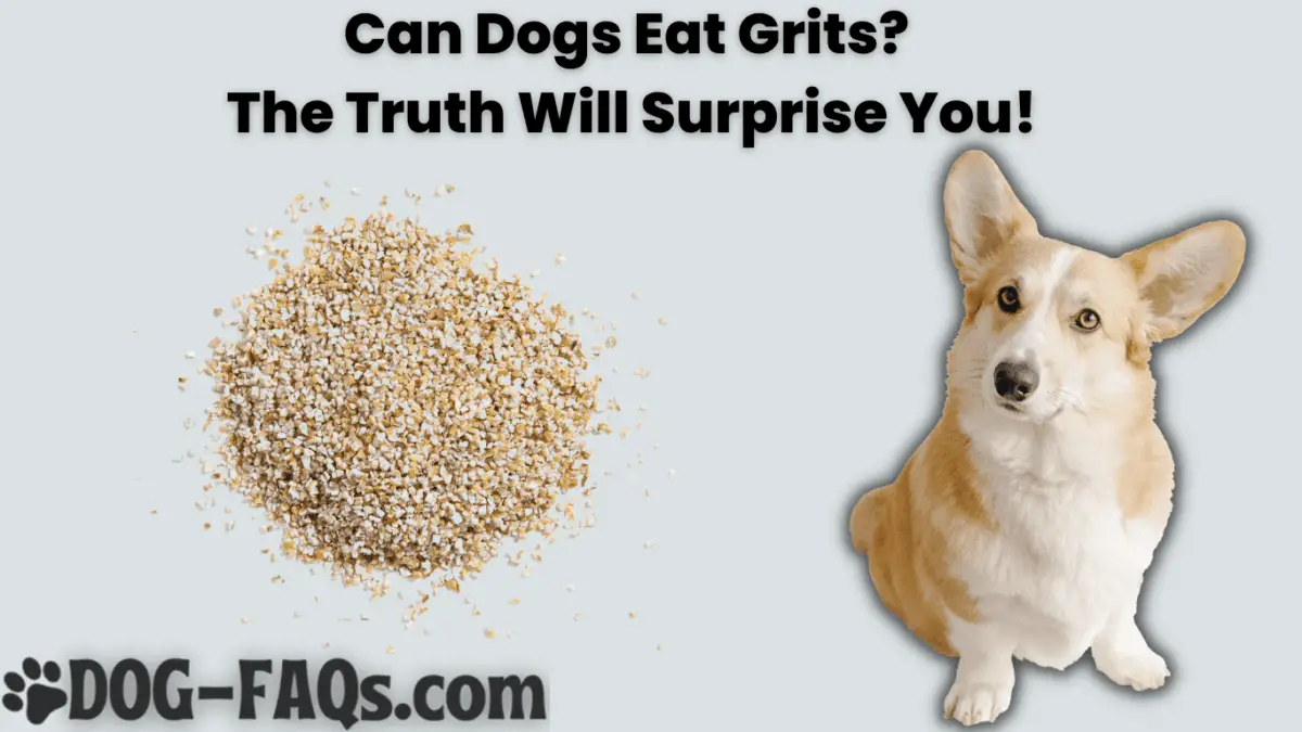 Can Dogs Eat Grits